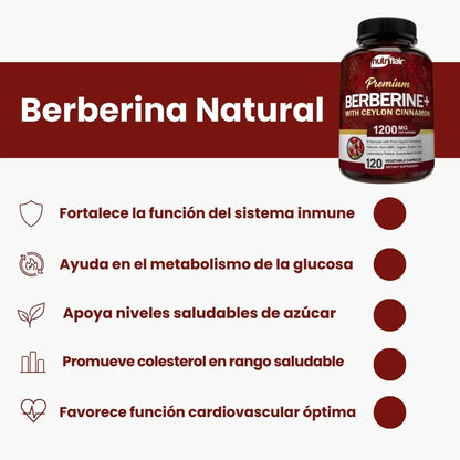 BERBERINA+ PREMIUM